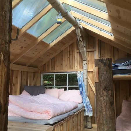 Treehouse B&B Rabjerg Exteriér fotografie